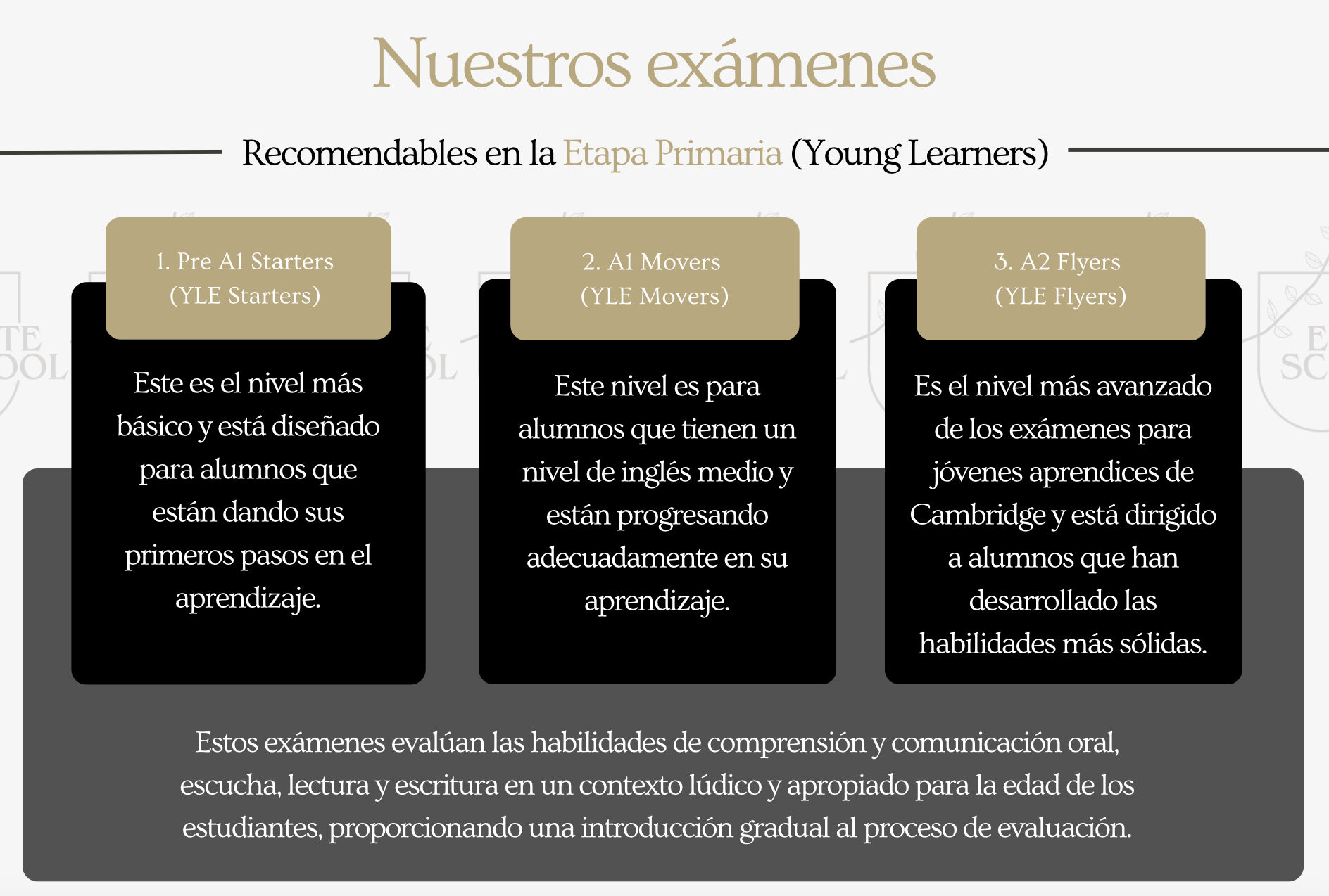 INGLÉS 6